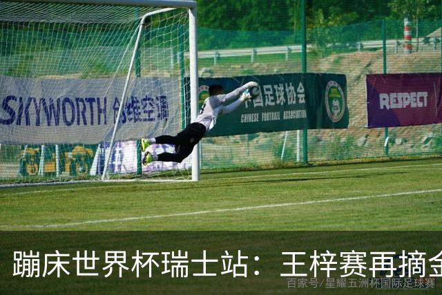蹦床世界杯瑞士站：王梓赛再摘金